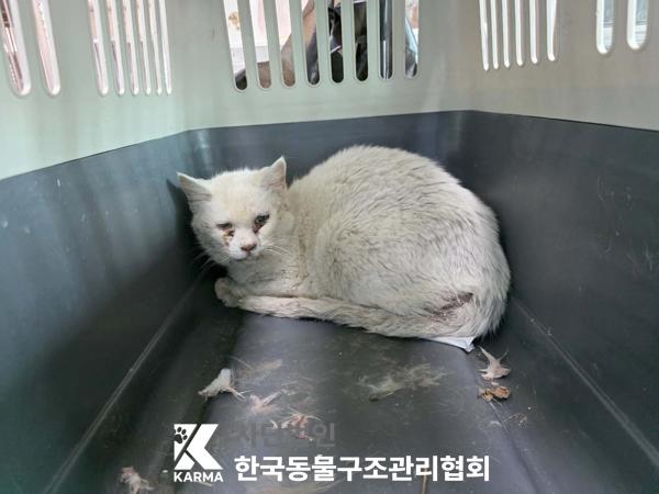 한국동물구조관리협회_441409202500617